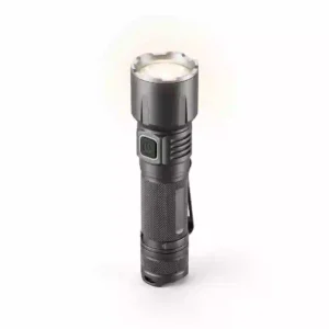 Torch Light