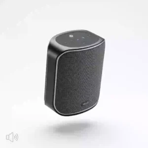 Speaker